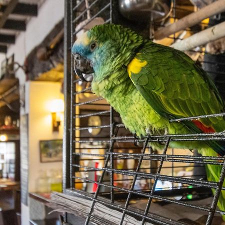克雷迪顿 新旅馆酒店 外观 照片