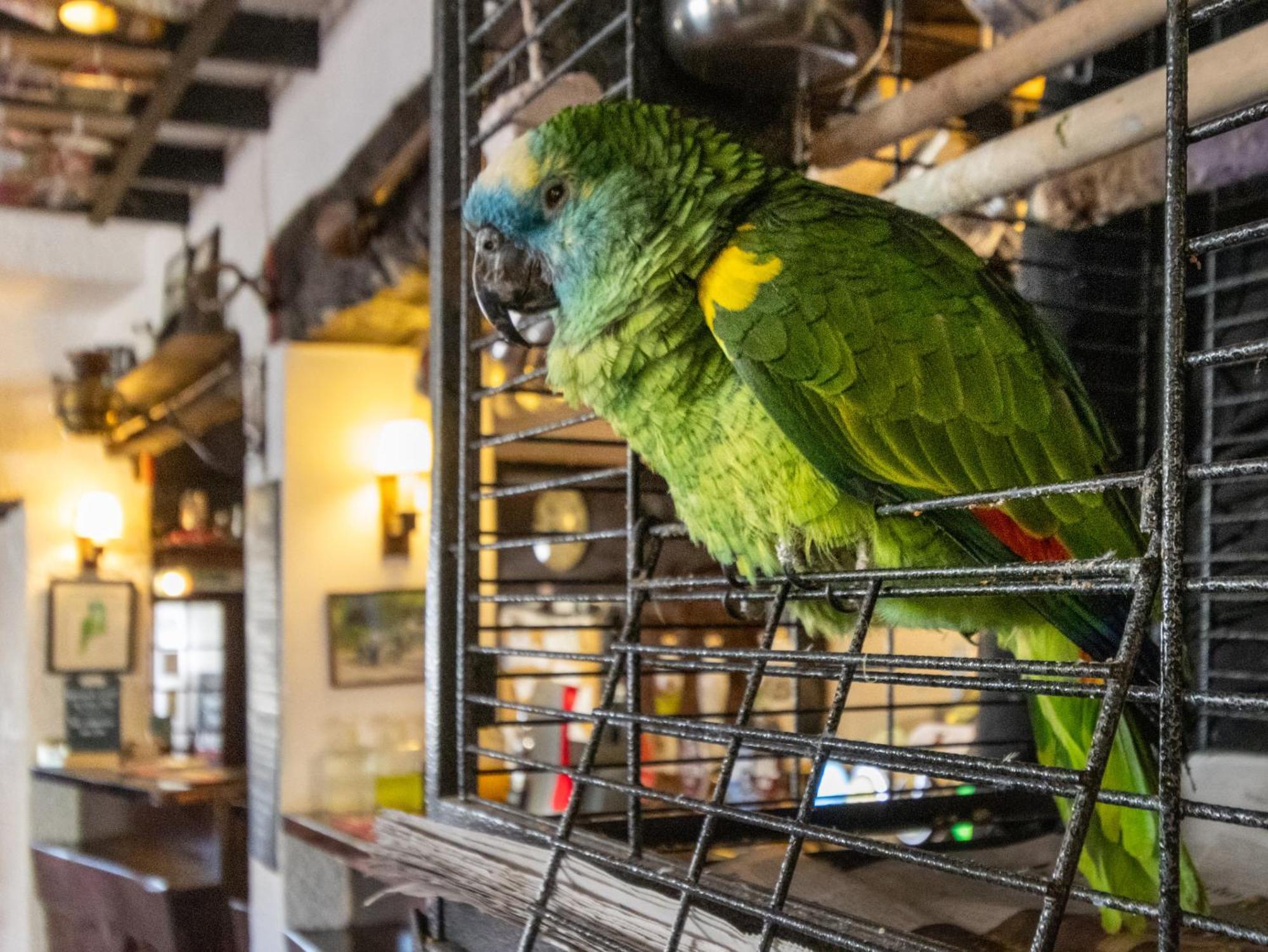 克雷迪顿 新旅馆酒店 外观 照片